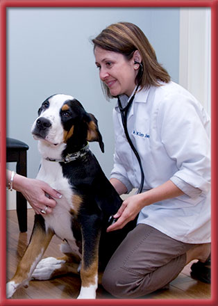 Stoney Brook Veterinary Hospital
