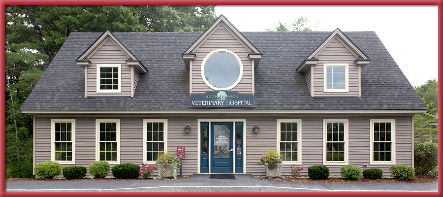 Veterinary Hospital in Lebanon, New Hampshire