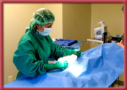 Stoney Brook Veterinary Hospital